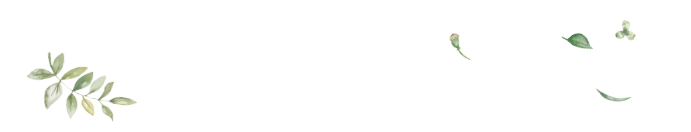 Leading My Life Therapy